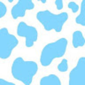 Meet your Posher, Madelyn